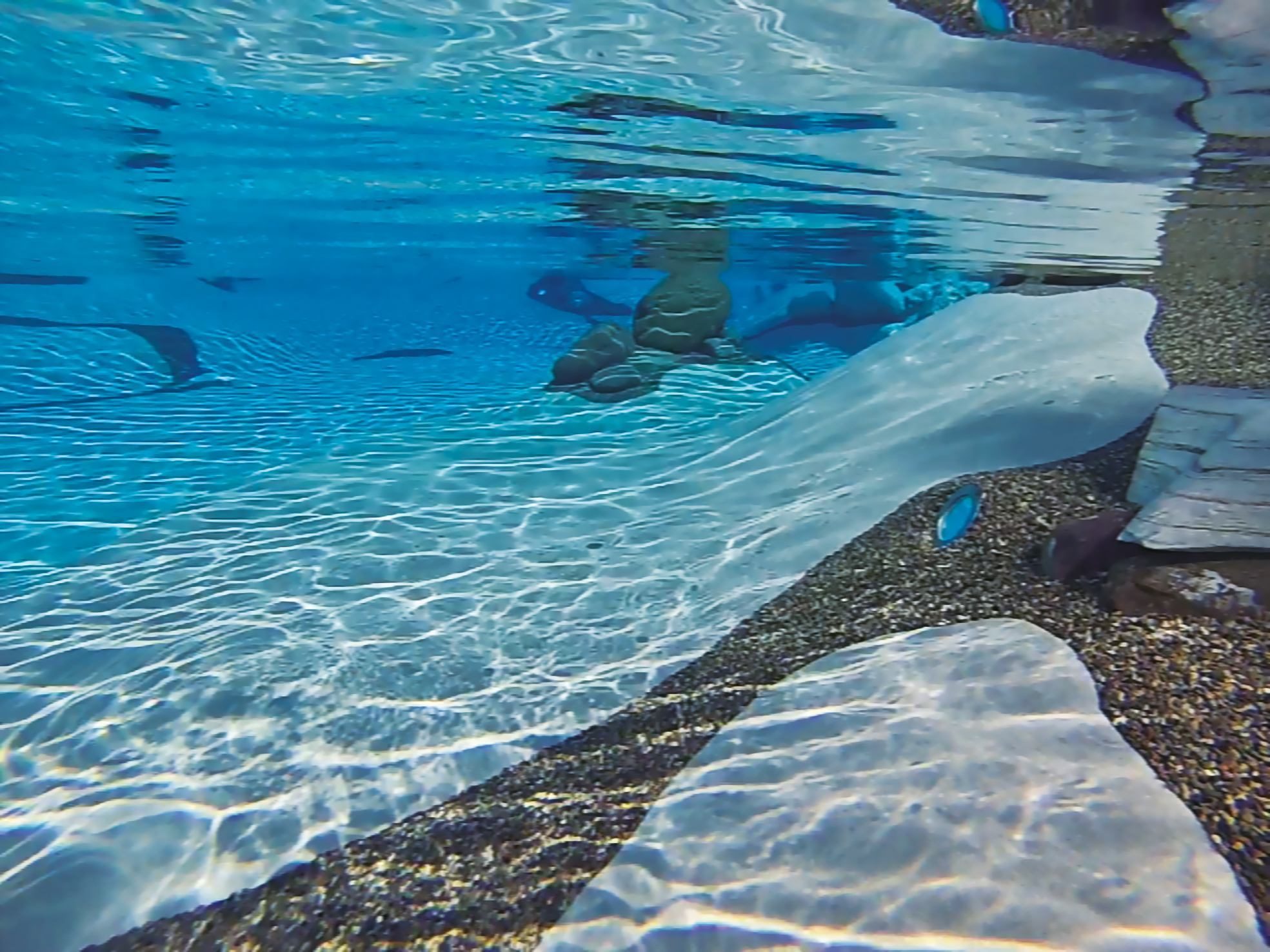 Unterwasserwelt im Swiss SPA-Pool