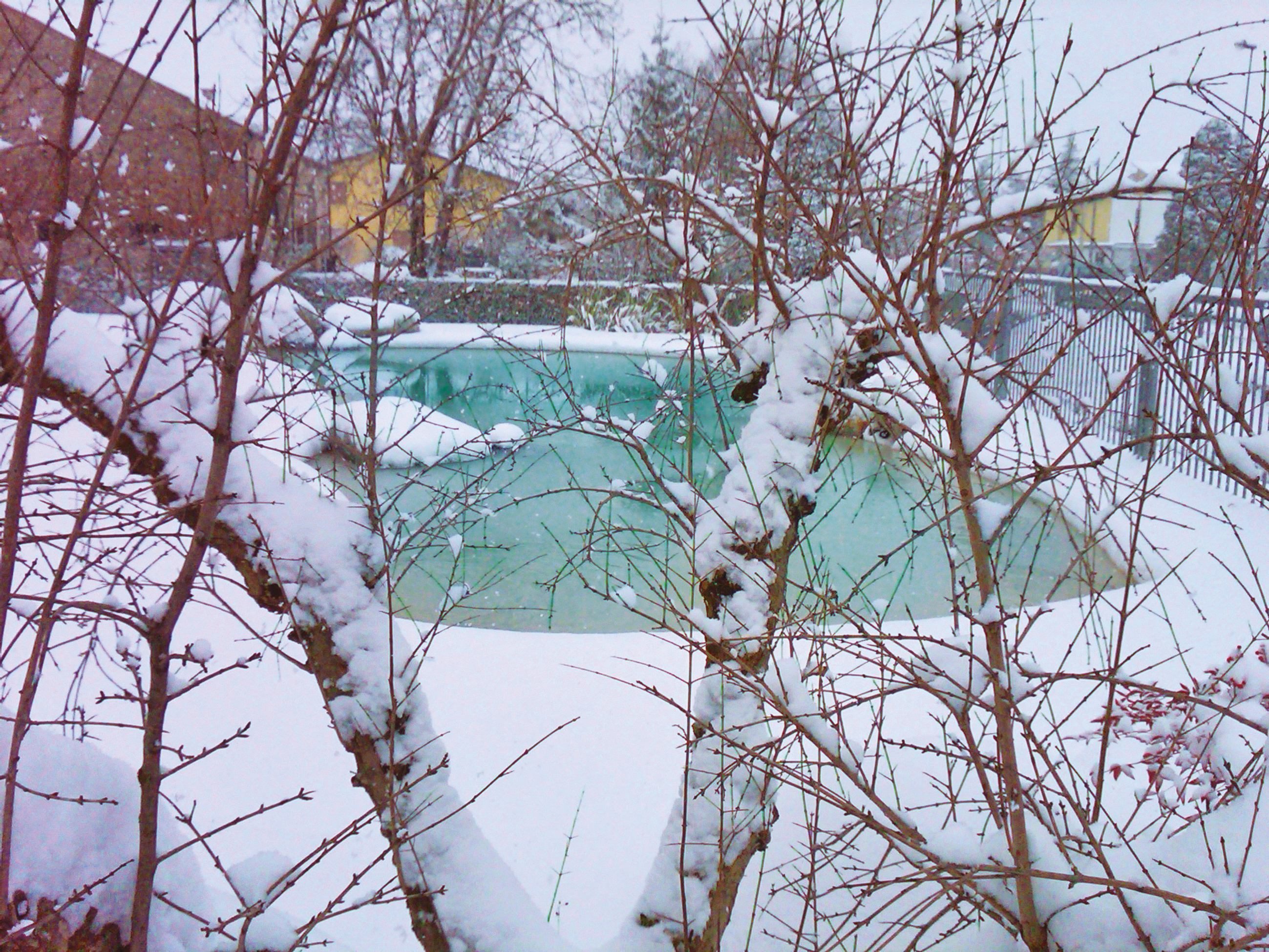Zauberhafter Swiss SPA-Pool mit Schnee