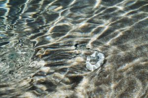 Bio Design Pools Wasserdüse Detailaufnahme