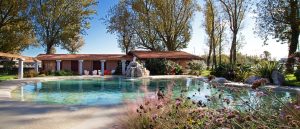 natürlicher Swiss SPA-Pool in Ferienlage