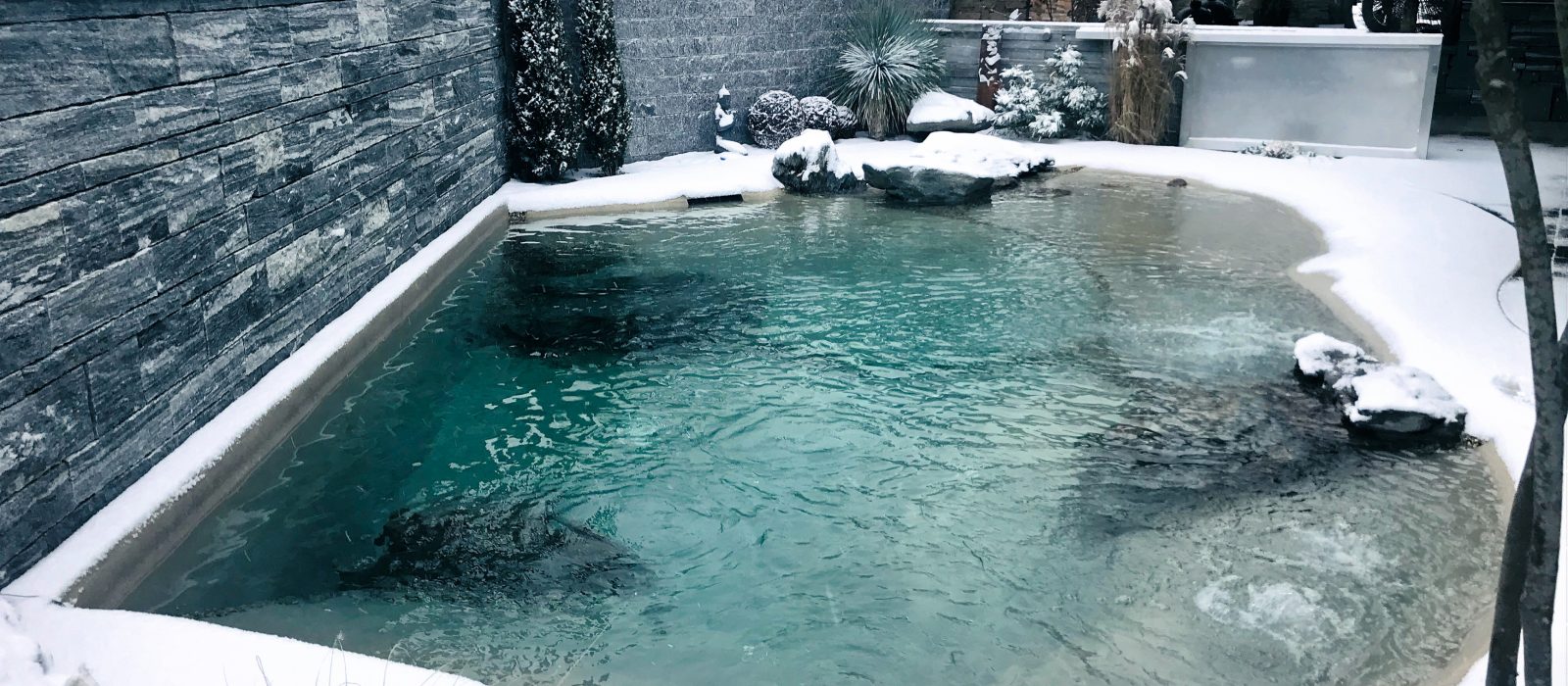 Villiger Pool Winter-20-20190131